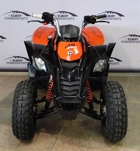 2023 Can-Am DS 250 in Laramie, Wyoming - Photo 3