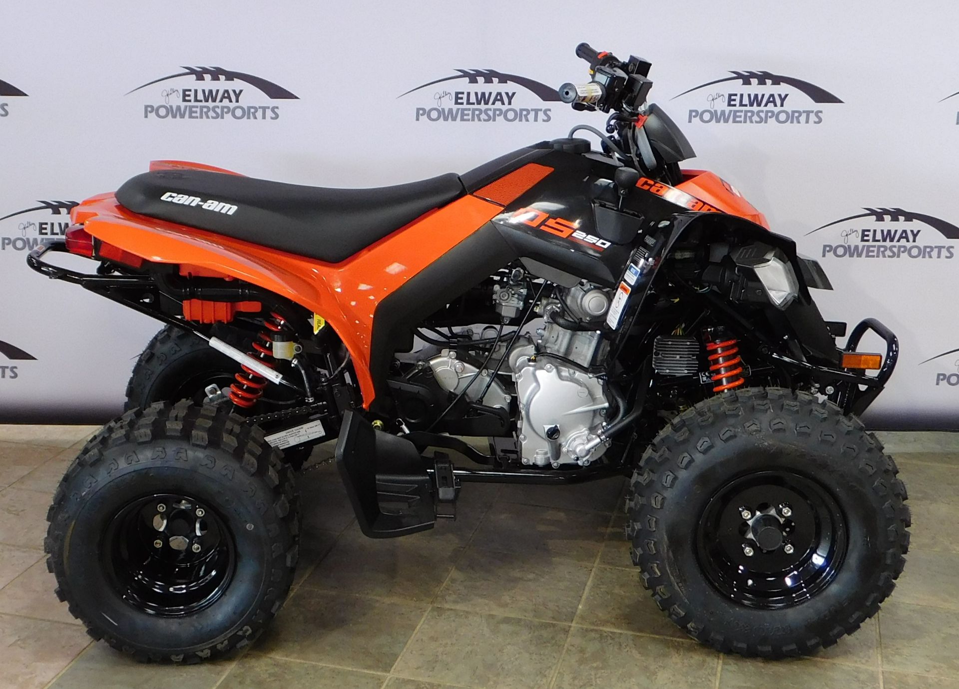 2023 Can-Am DS 250 in Laramie, Wyoming - Photo 1