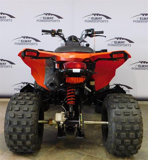 2022 Can-Am DS 250 in Laramie, Wyoming - Photo 4