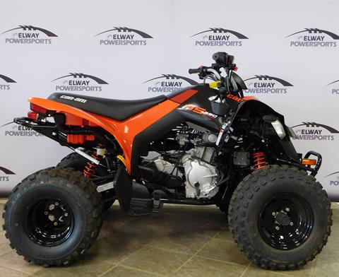 2022 Can-Am DS 250 in Laramie, Wyoming - Photo 1