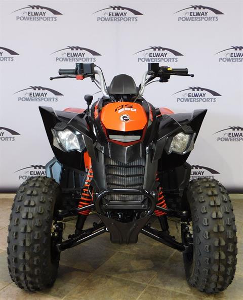 2022 Can-Am DS 250 in Laramie, Wyoming - Photo 3
