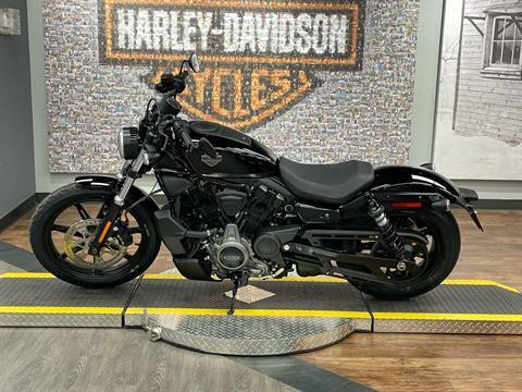2023 Harley-Davidson Nightster® in Greeley, Colorado - Photo 4