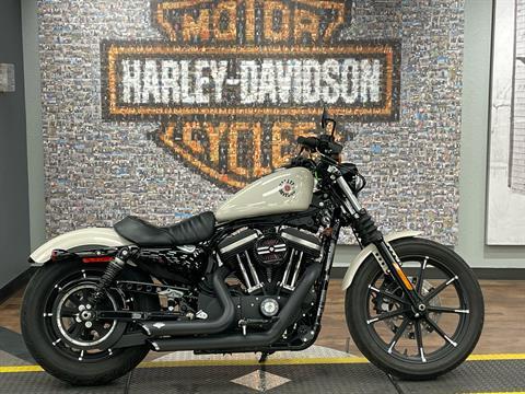 A used 2022 HARLEY-DAVIDSON IRON 883™ in White Sand Pearl