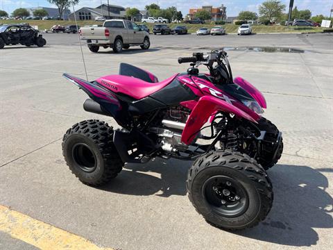 2021 Honda TRX250X in Lincoln, Nebraska - Photo 4