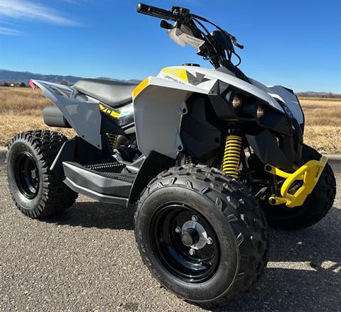 2024 Can-Am Renegade 70 EFI in Fort Collins, Colorado - Photo 1