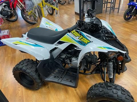 2023 Yamaha Raptor 90 in Greeley, Colorado - Photo 1