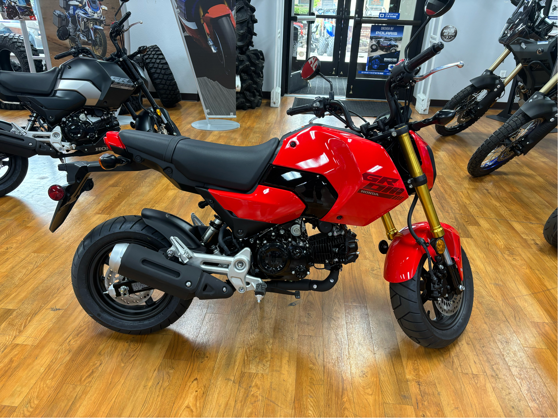 2025 Honda Grom in Greeley, Colorado - Photo 1