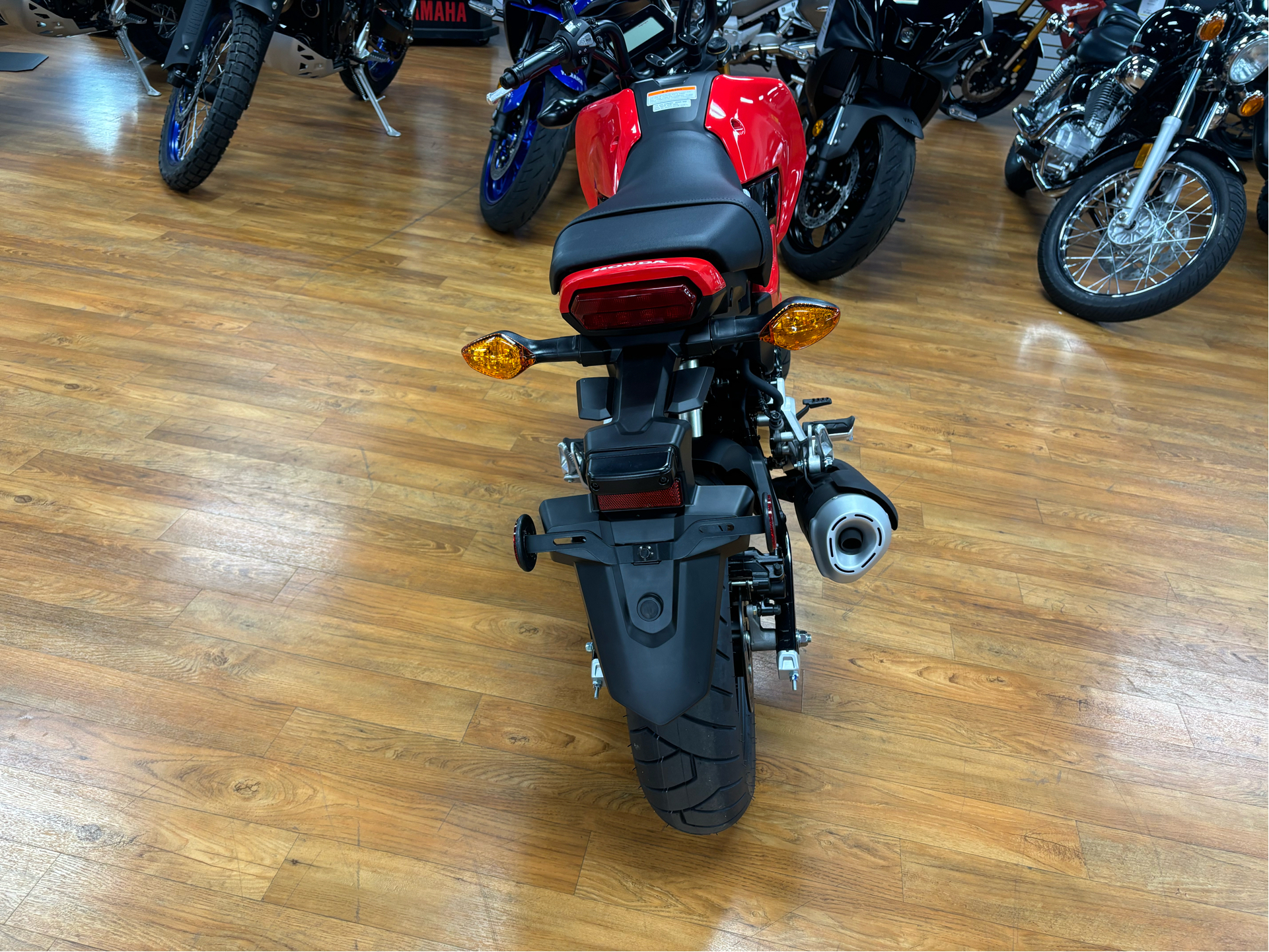 2025 Honda Grom in Greeley, Colorado - Photo 2