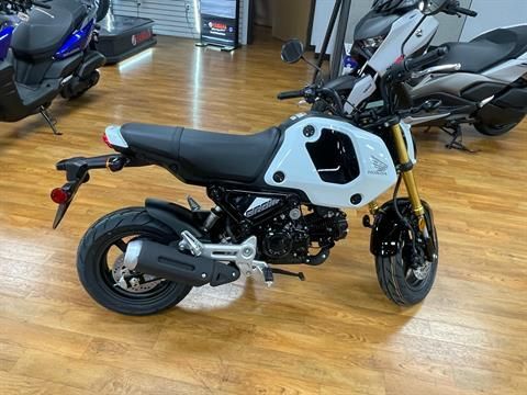 New 2024 Honda Grom, Greeley CO Specs, Price, Photos Pearl White 204862