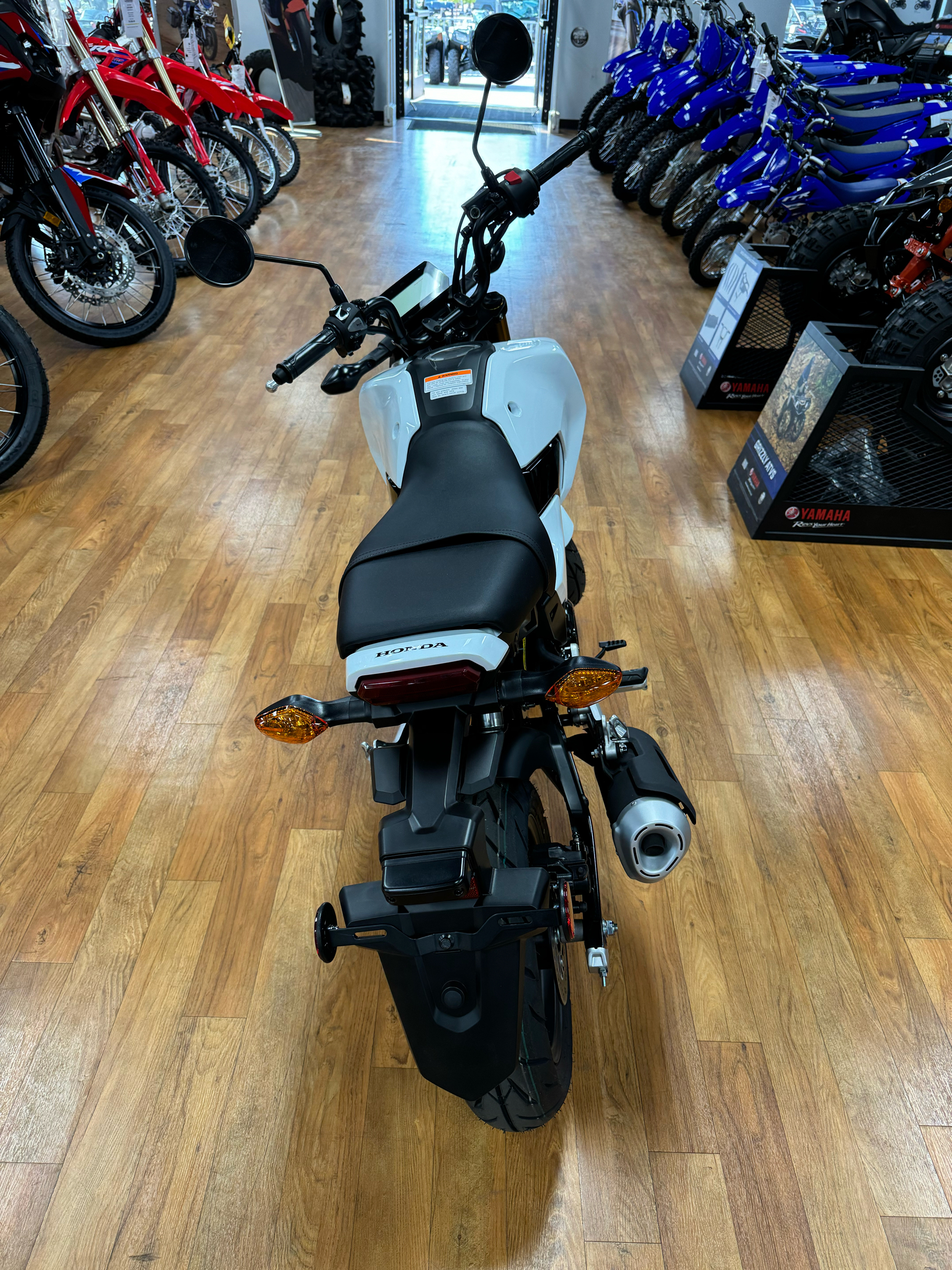 2025 Honda Grom in Greeley, Colorado - Photo 4