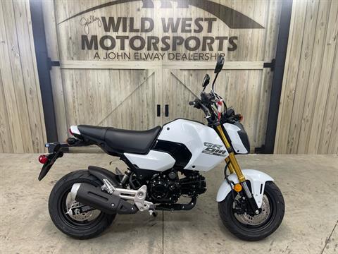 2025 Honda Grom in Greeley, Colorado