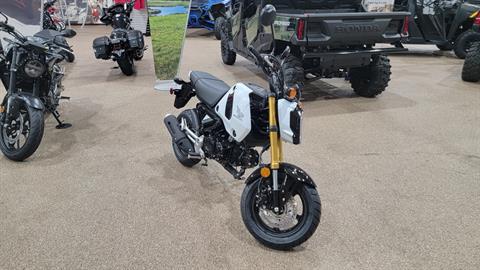 2024 Honda Grom ABS in North Platte, Nebraska - Photo 5