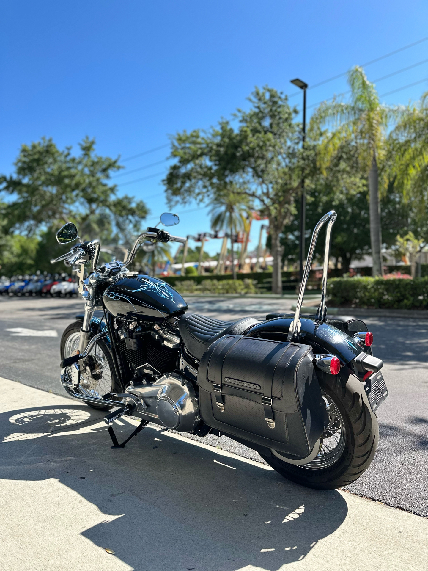 2020 Harley-Davidson Softail® Standard in Sanford, Florida - Photo 5