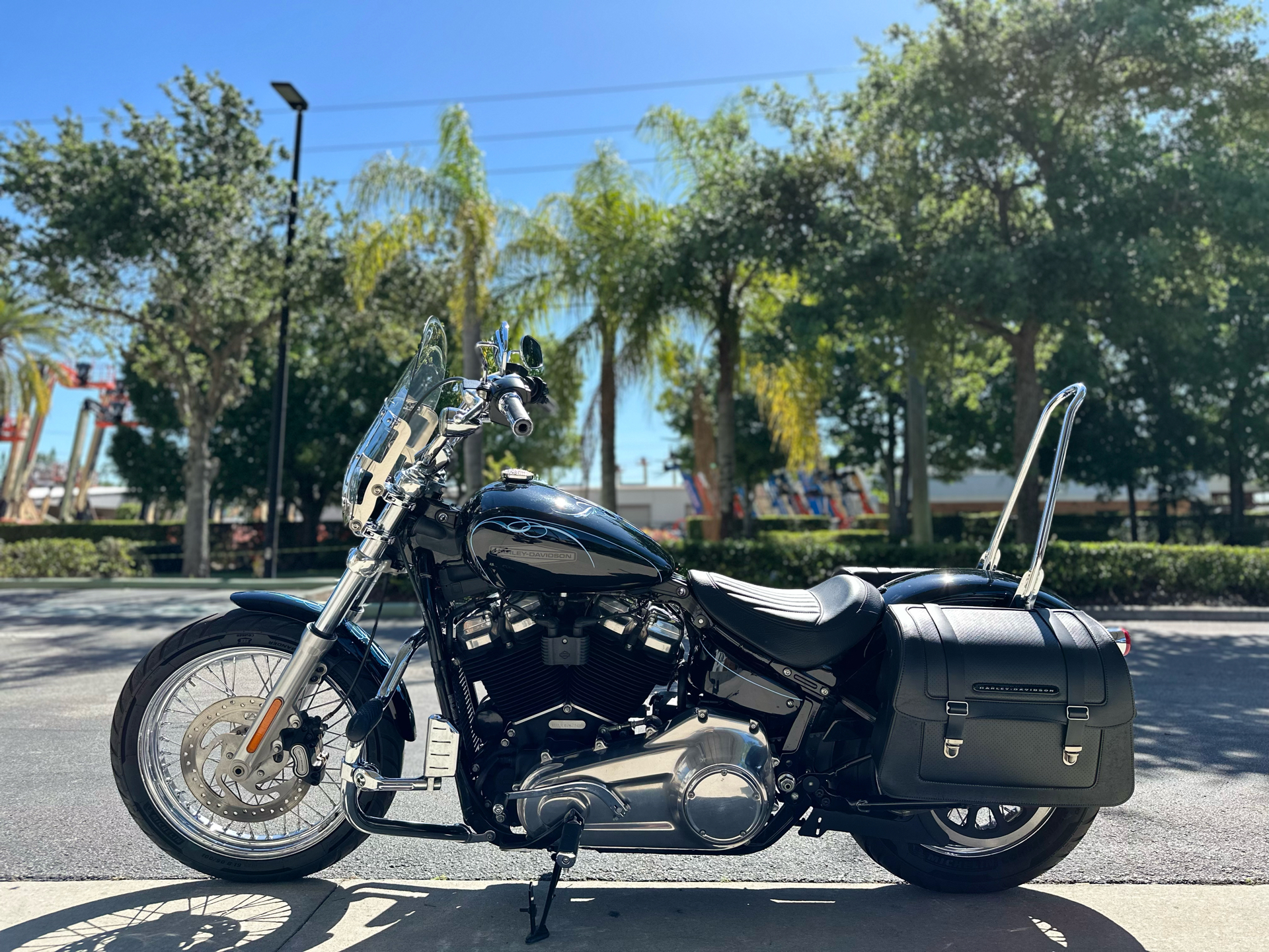 2020 Harley-Davidson Softail® Standard in Sanford, Florida - Photo 6