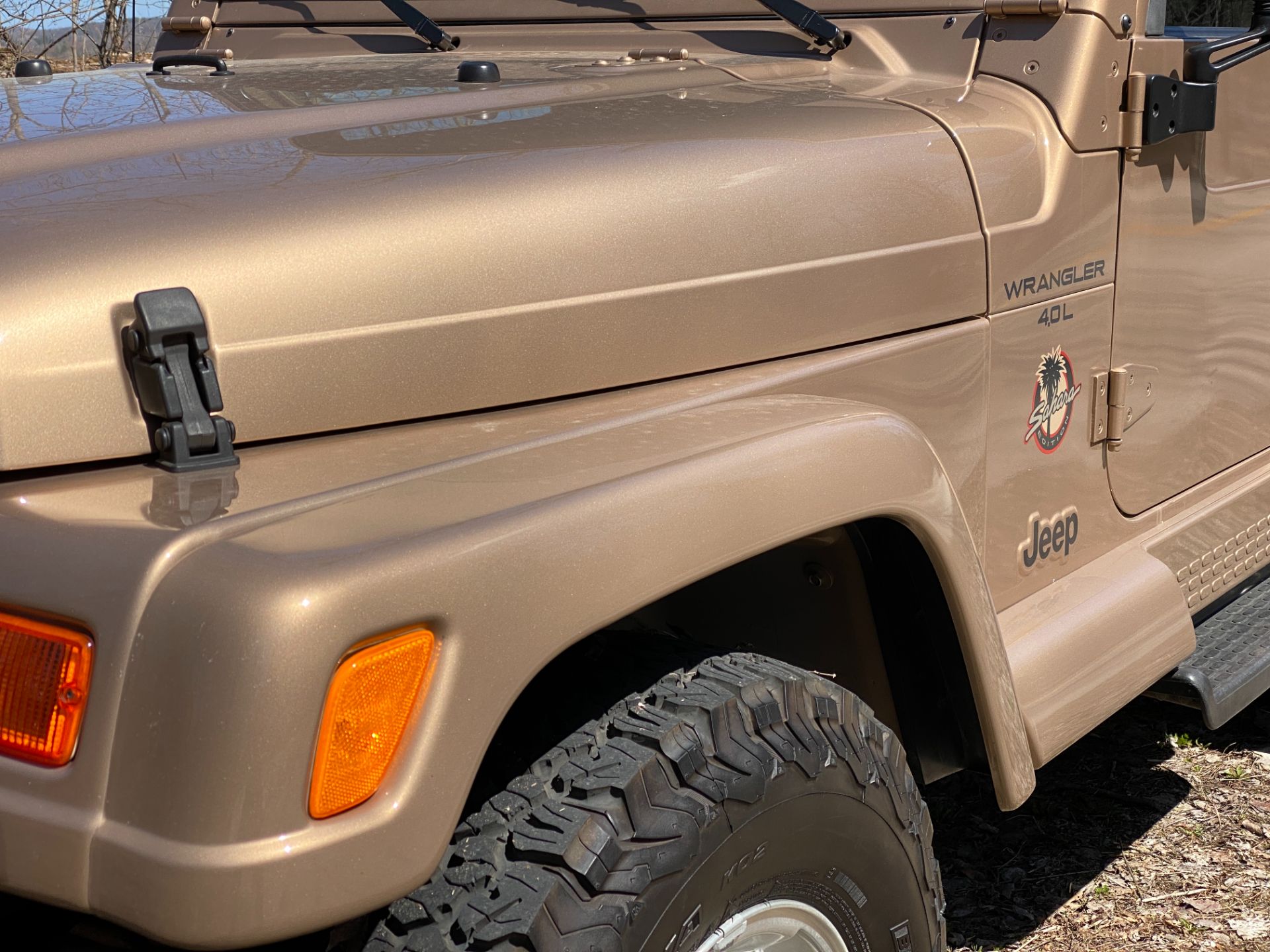 2000 Jeep® Wrangler Sahara in Big Bend, Wisconsin - Photo 10