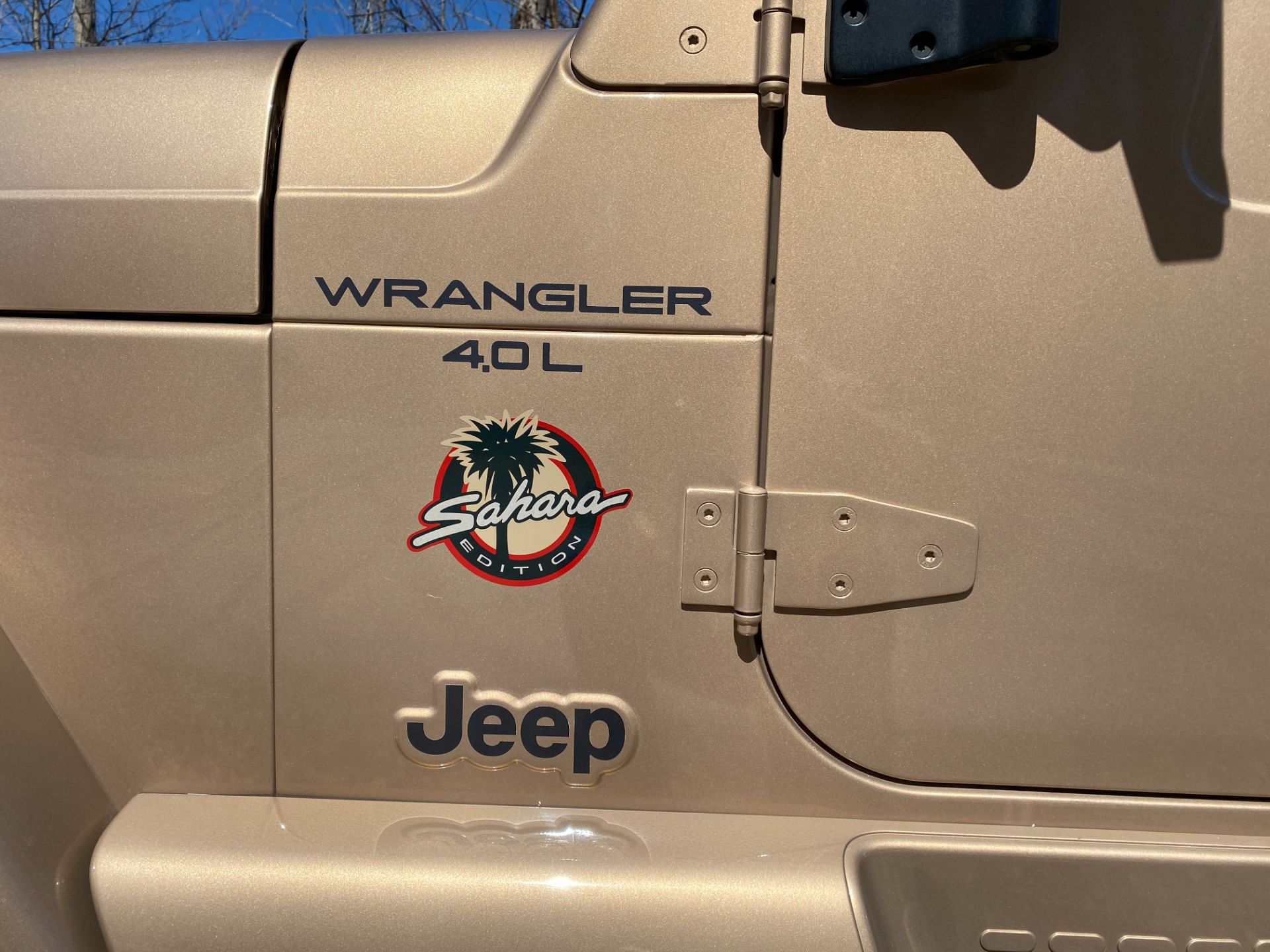 2000 Jeep® Wrangler Sahara in Big Bend, Wisconsin - Photo 31