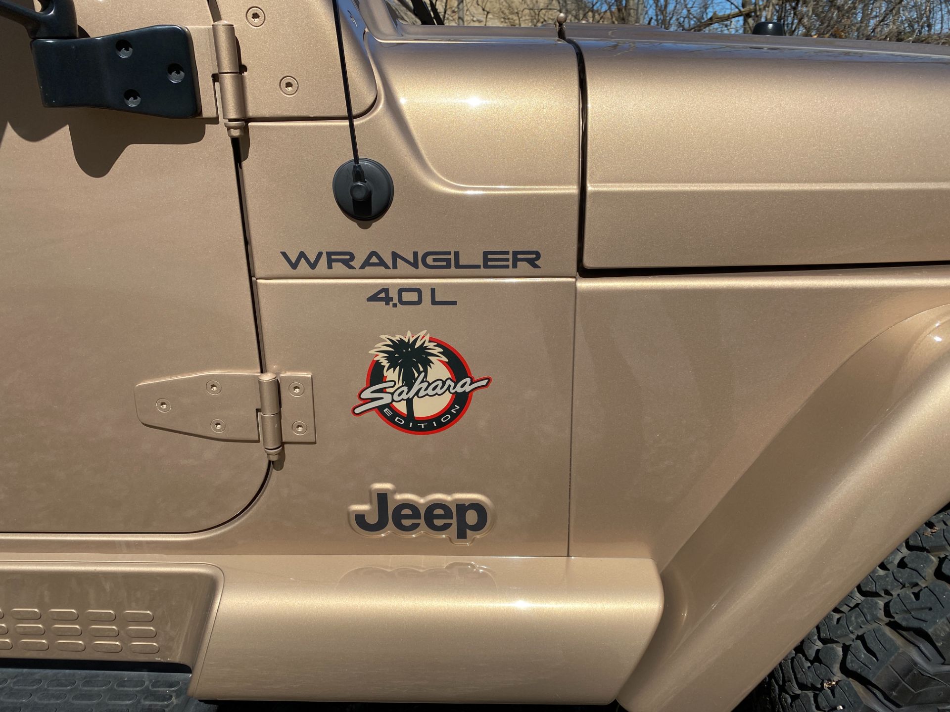 2000 Jeep® Wrangler Sahara in Big Bend, Wisconsin - Photo 71