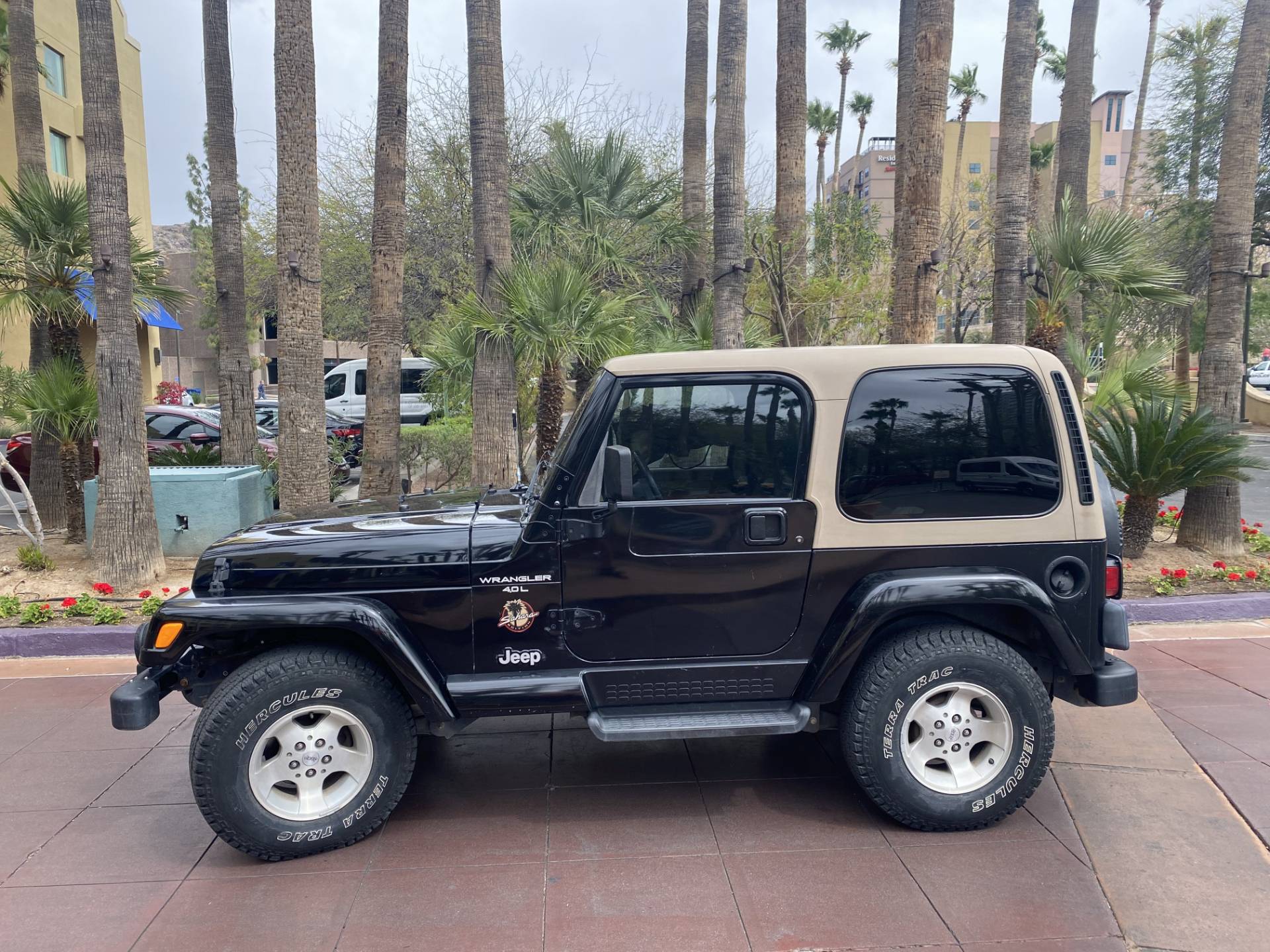 Used 2000 Jeep® Wrangler Sahara | Automobile in Big Bend WI | 4389 Black