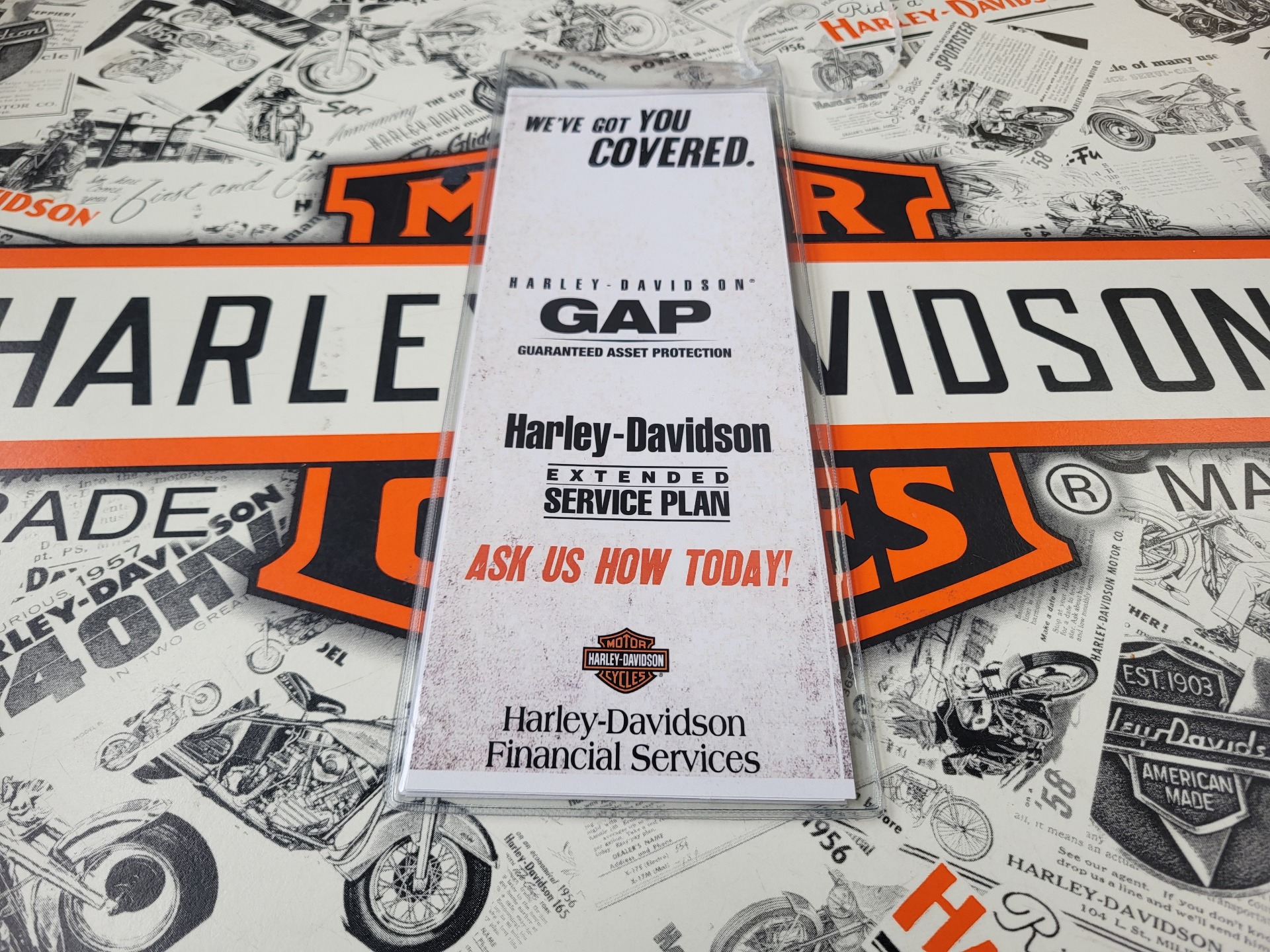 2024 Harley-Davidson Nightster® in Mentor, Ohio - Photo 5