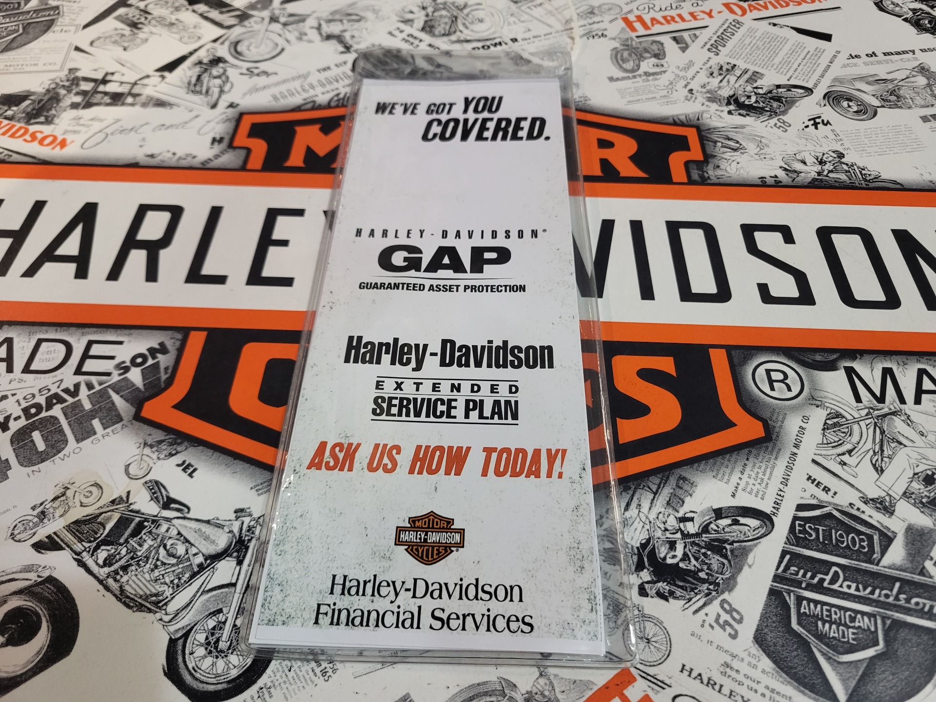 2023 Harley-Davidson Softail® Standard in Mentor, Ohio - Photo 6