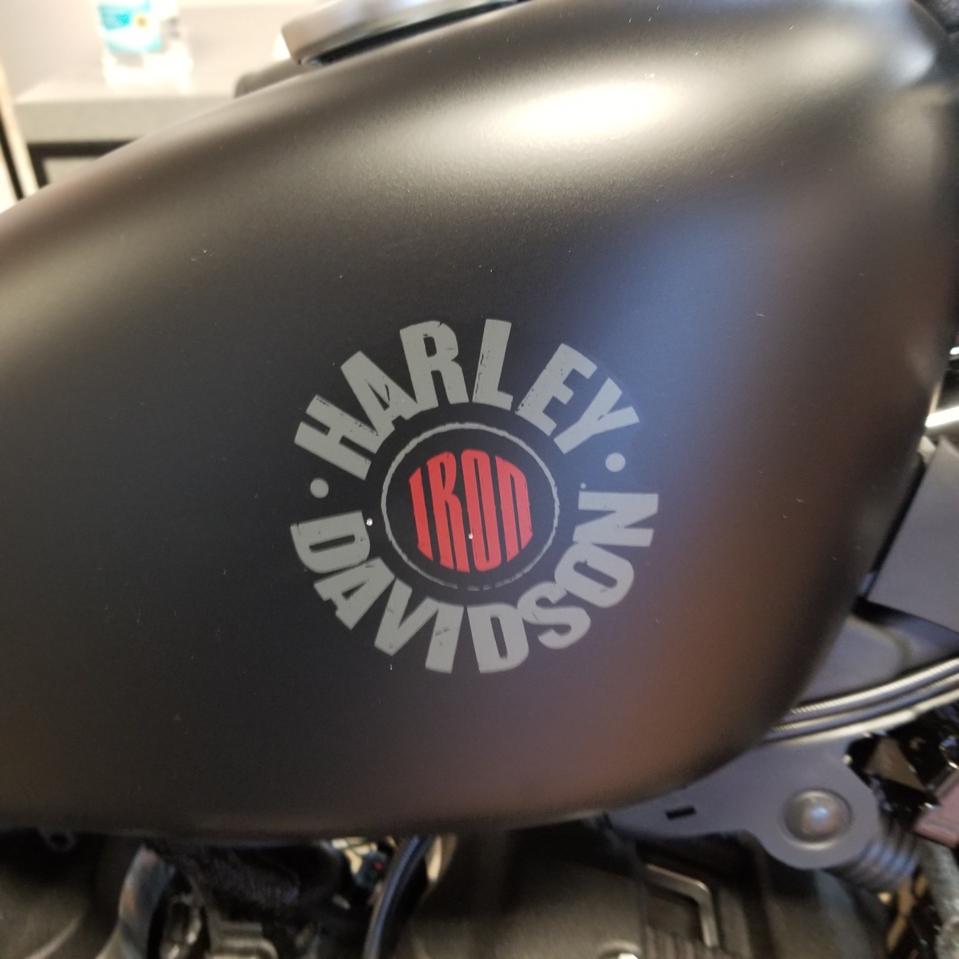 2022 Harley-Davidson Iron 883™ in Mentor, Ohio - Photo 10