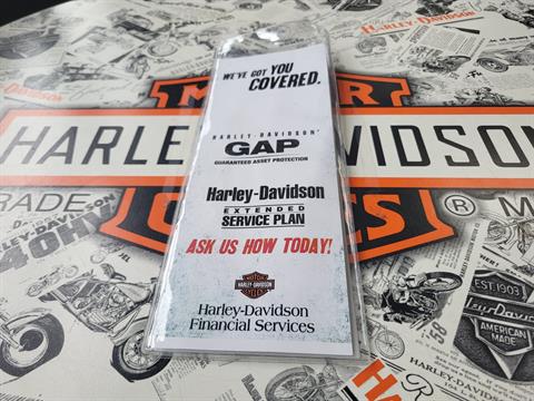 2024 Harley-Davidson Freewheeler® in Mentor, Ohio - Photo 5