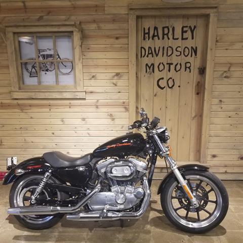 2013 Harley-Davidson Sportster® 883 SuperLow® in Mentor, Ohio - Photo 1