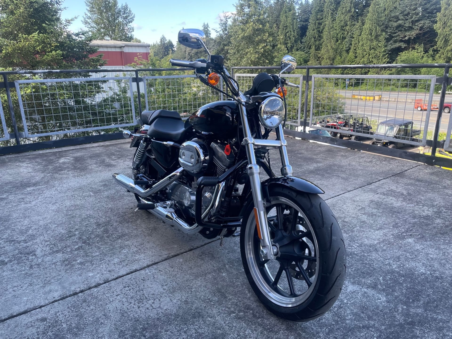 2014 Harley-Davidson Sportster® SuperLow® in Woodinville, Washington - Photo 2