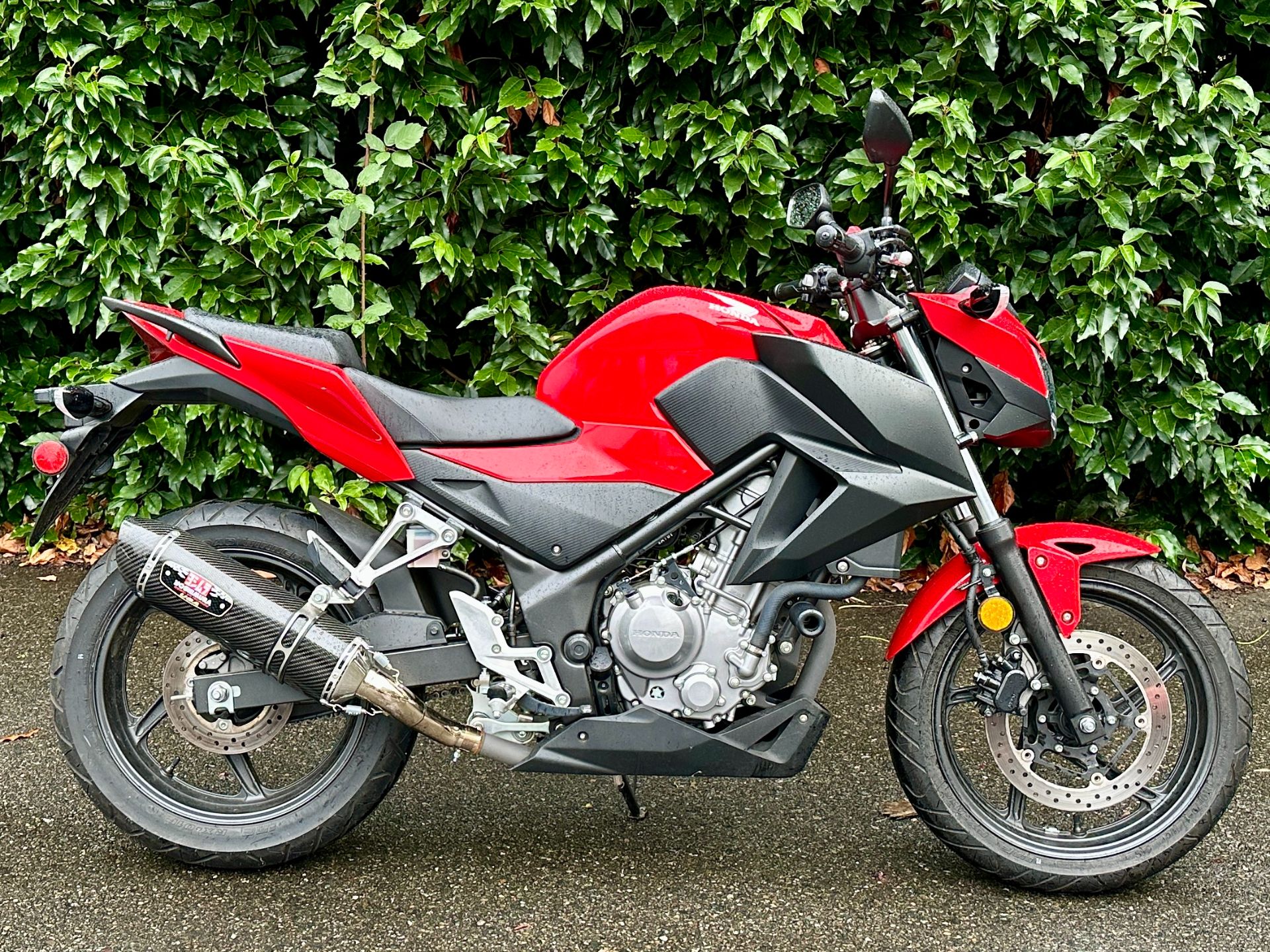 2015 Honda CB300F in Issaquah, Washington - Photo 1