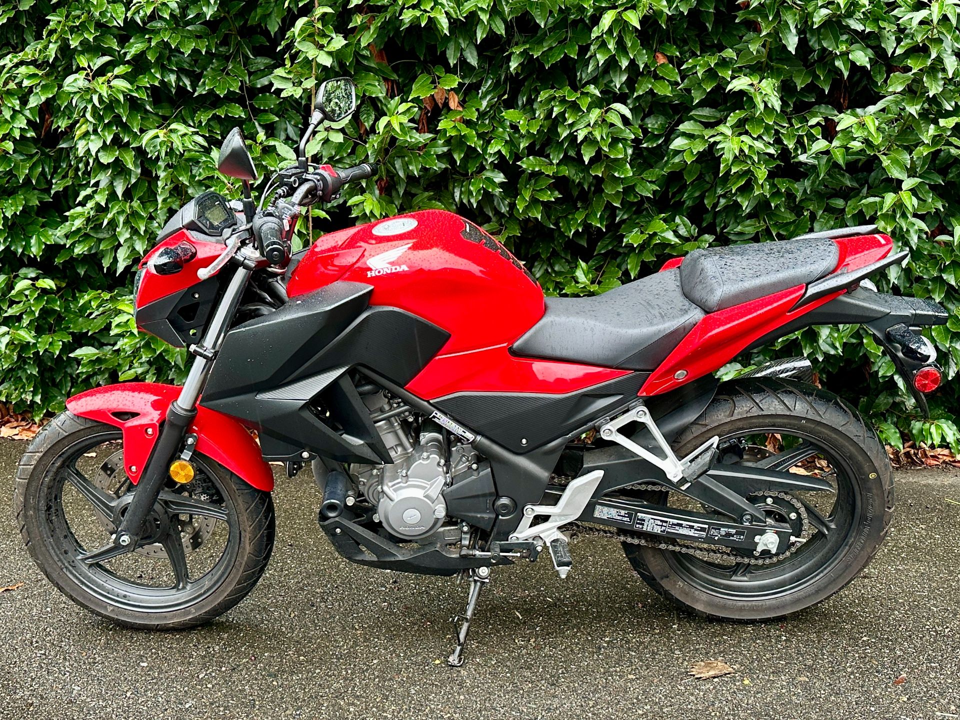 2015 Honda CB300F in Issaquah, Washington - Photo 2