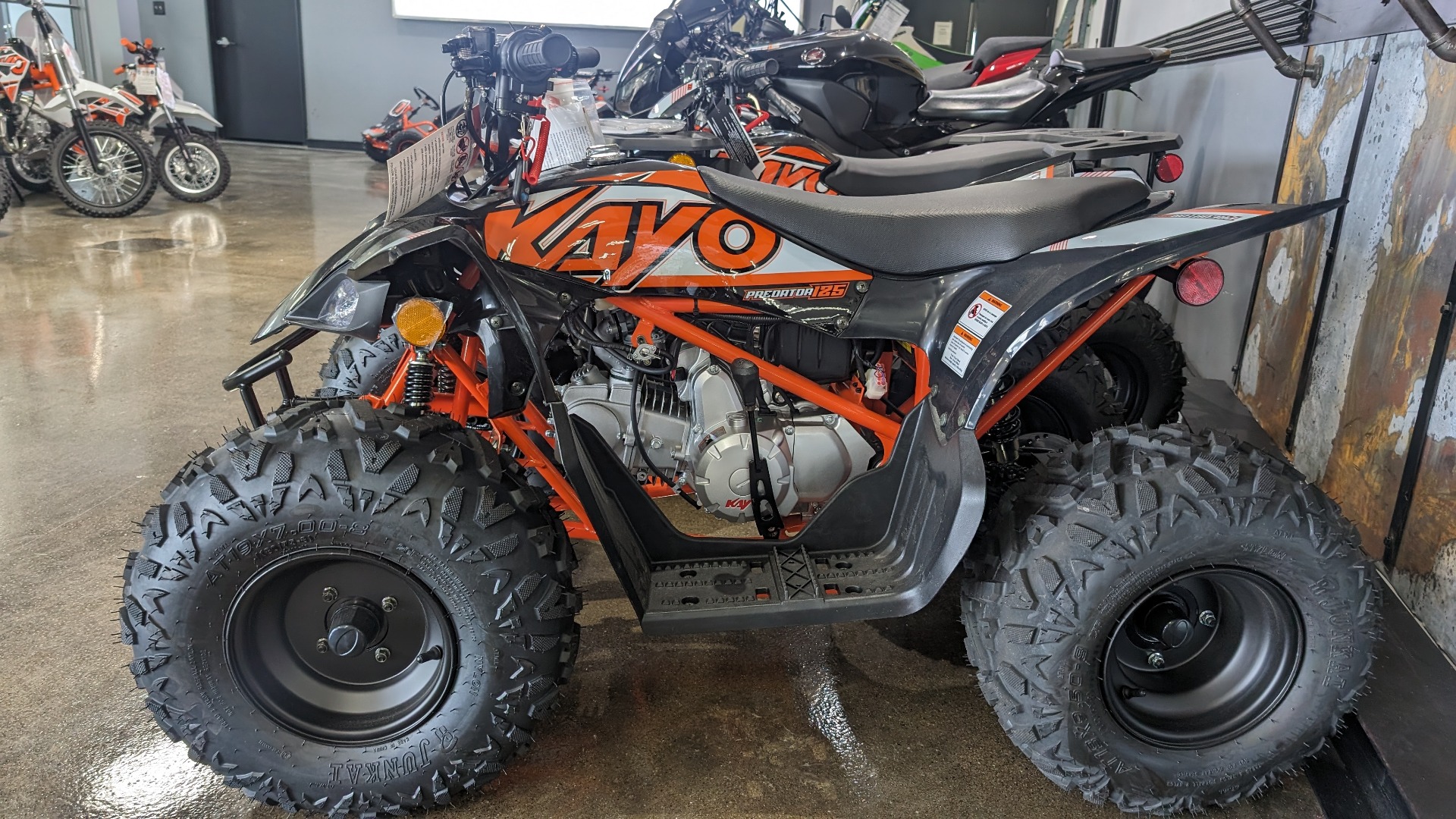 2023 Kayo Predator 125 in Davison, Michigan - Photo 2