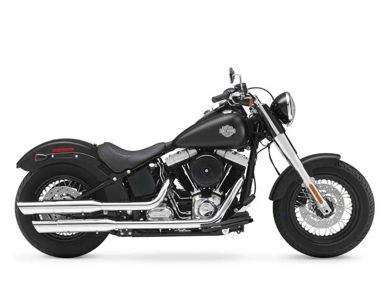 2013 Harley-Davidson Softail Slim® in Marion, Illinois - Photo 1