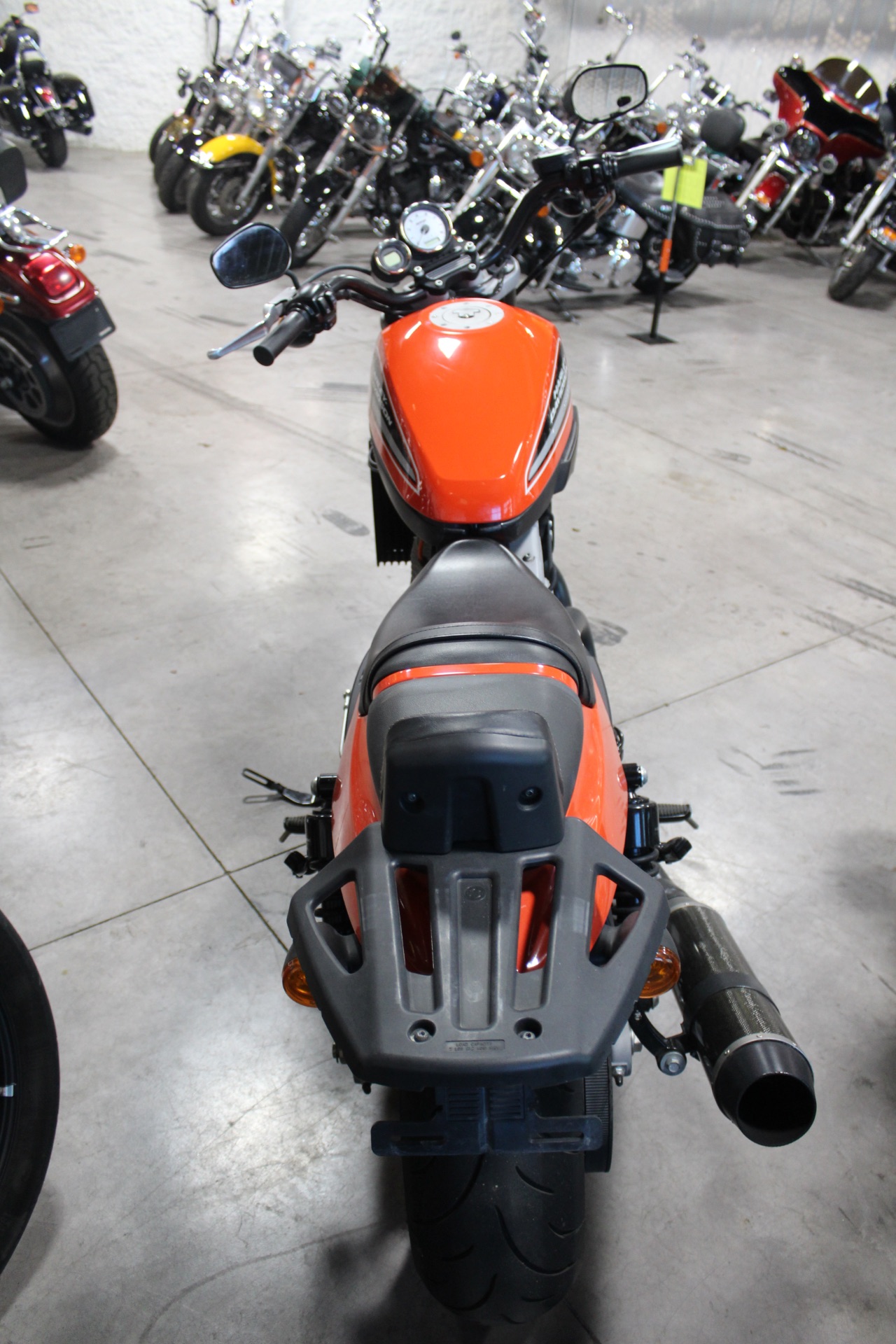 2009 Harley-Davidson XR1200 in Marion, Illinois - Photo 4