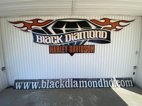 2012 Harley-Davidson Dyna® Switchback in Marion, Illinois - Photo 9