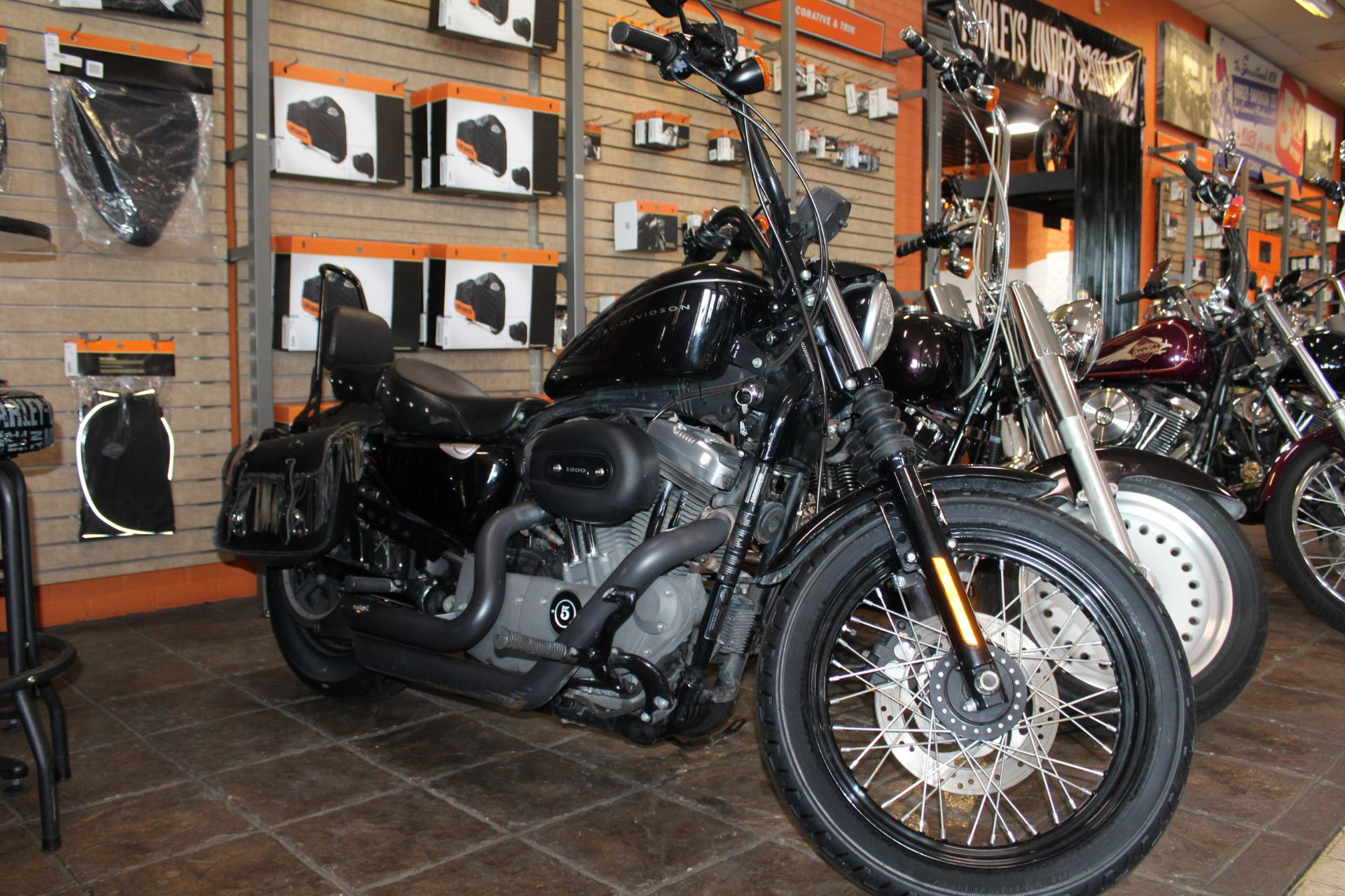 2008 Harley-Davidson Sportster® 1200 Custom in Marion, Illinois - Photo 3