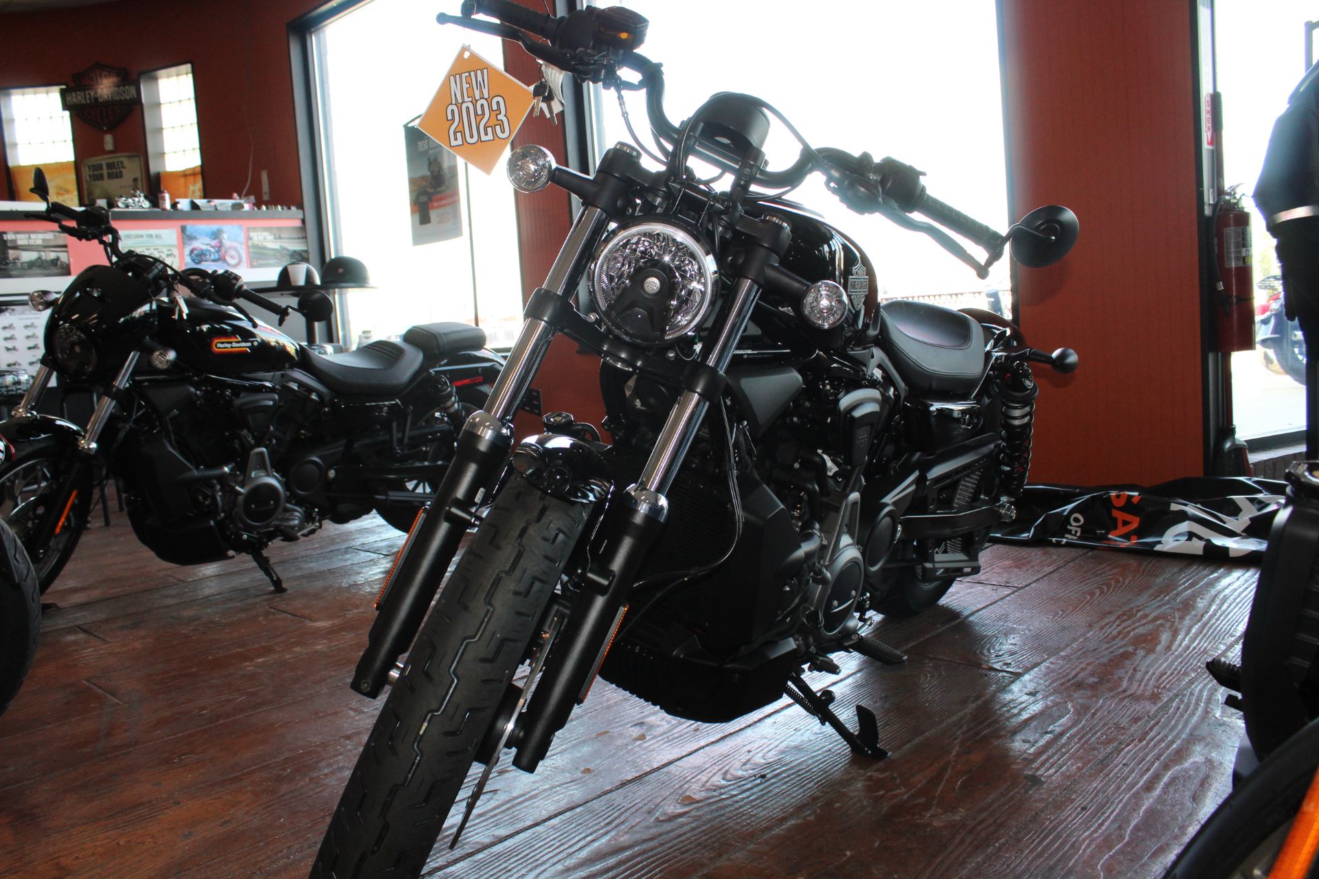 2023 Harley-Davidson Nightster® in Marion, Illinois - Photo 5