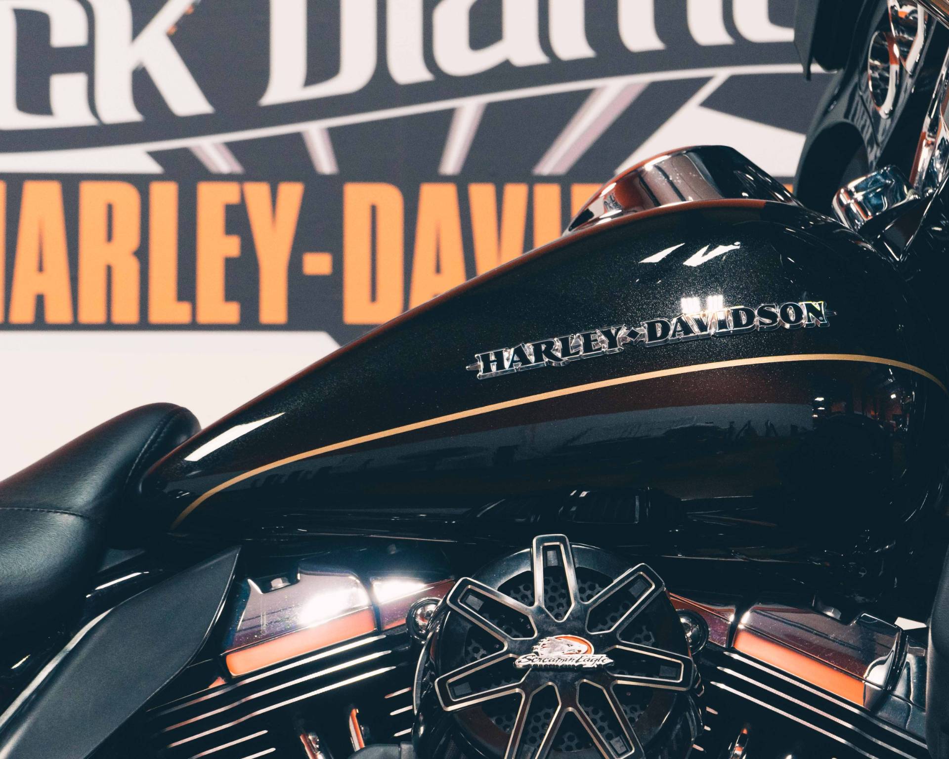 2016 Harley-Davidson ULTRA LIMITED in Marion, Illinois - Photo 23