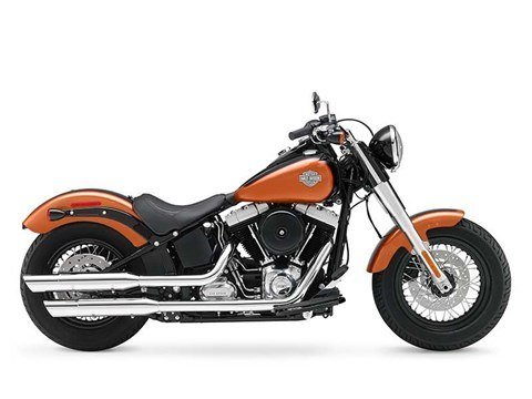 2015 Harley-Davidson Softail Slim® in Marion, Illinois - Photo 1