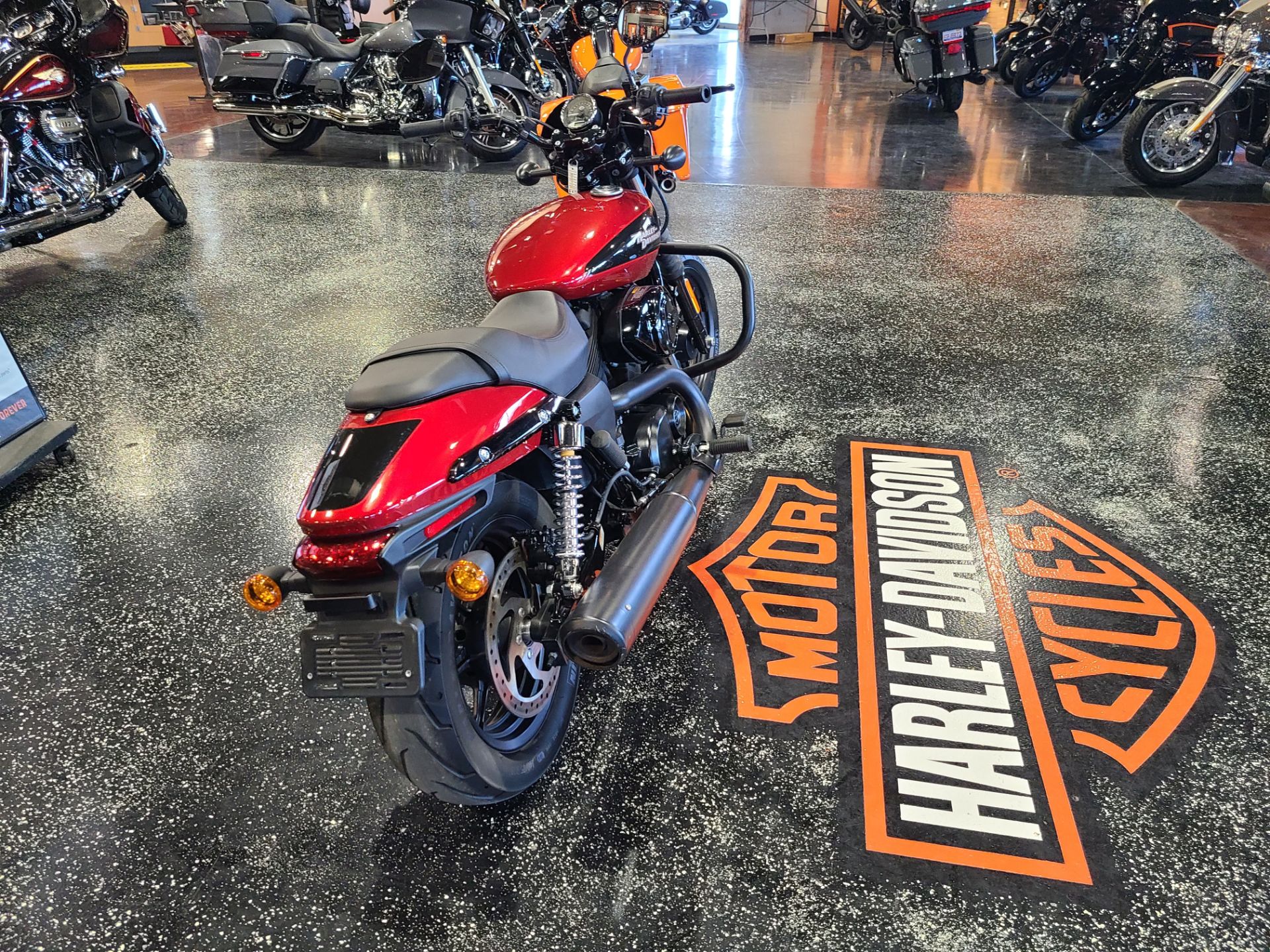 2018 Harley-Davidson 500 STREET in Mount Vernon, Illinois - Photo 3
