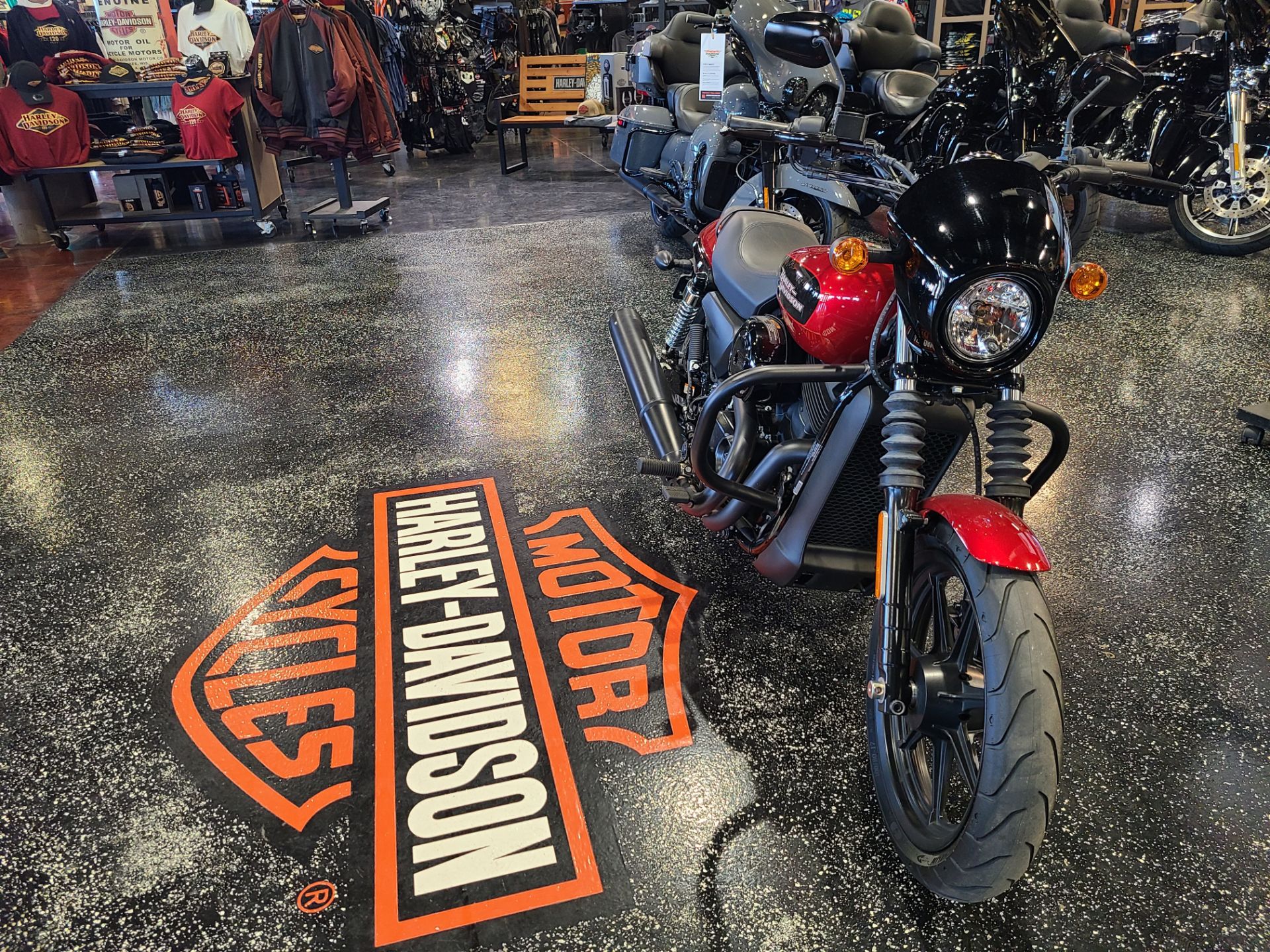 2018 Harley-Davidson 500 STREET in Mount Vernon, Illinois - Photo 4