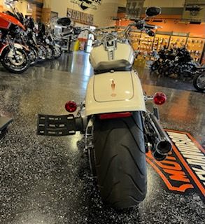 2018 Harley-Davidson FATBOY in Mount Vernon, Illinois - Photo 3