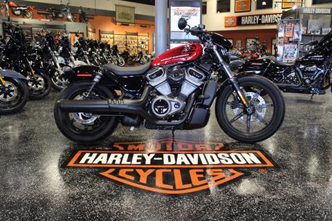 2022 Harley-Davidson Nightster™ in Mount Vernon, Illinois - Photo 1