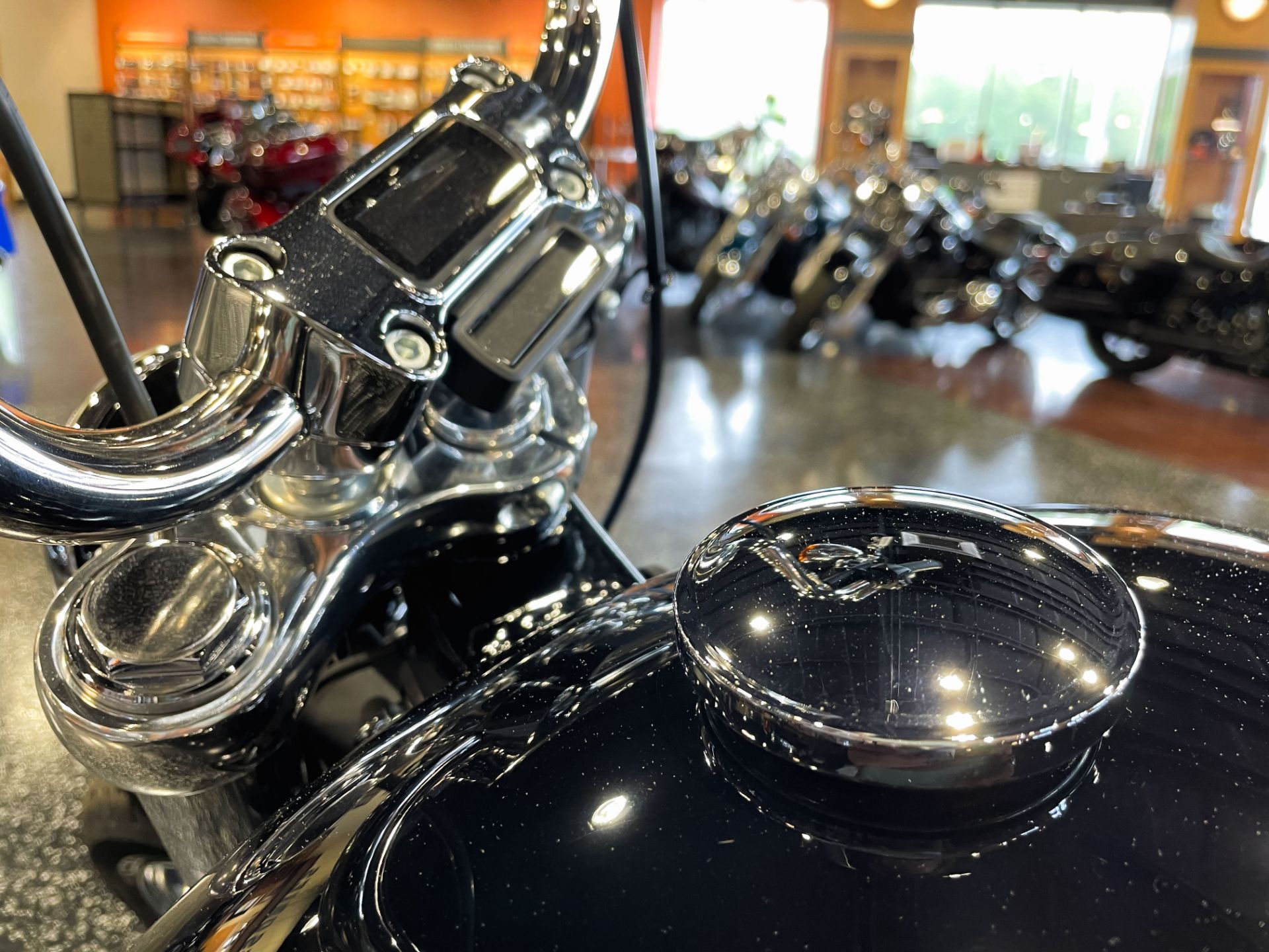 2021 Harley-Davidson Standard in Mount Vernon, Illinois - Photo 19