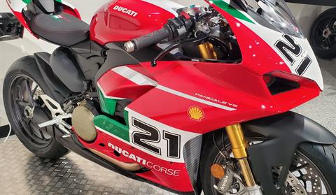 2023 Ducati Panigale V2 Bayliss 1st Championship 20th Anniversary in Albany, New York - Photo 9