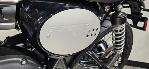 2024 Triumph Scrambler 900 in Albany, New York - Photo 11