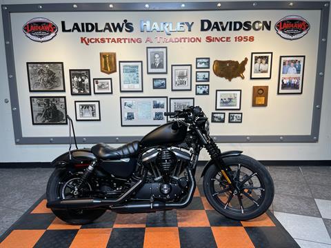 2020 Harley-Davidson Iron 883™ in Baldwin Park, California - Photo 1