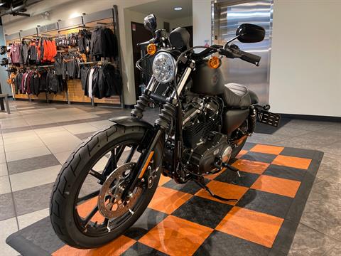 2022 Harley-Davidson Iron 883™ in Baldwin Park, California - Photo 10