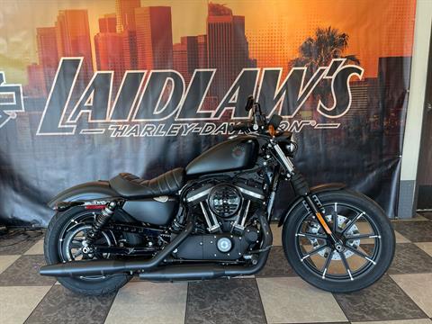 2021 Harley-Davidson Iron 883™ in Baldwin Park, California - Photo 1