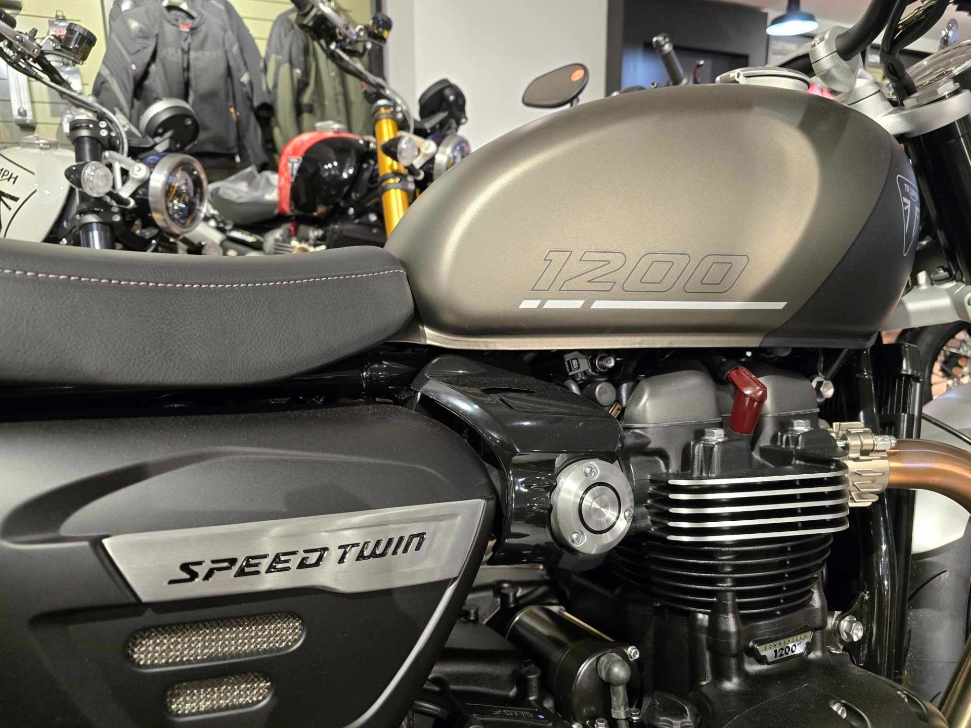 2024 Triumph Speed Twin 1200 in Norwich, Connecticut - Photo 5