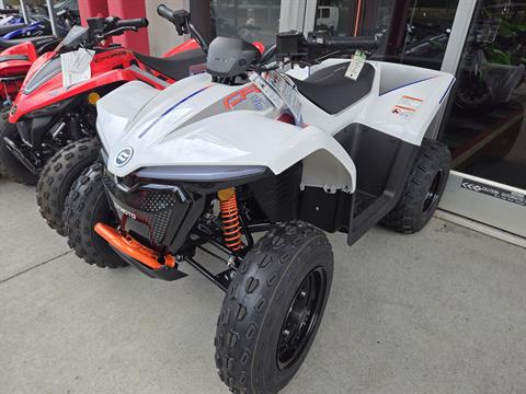 2024 CFMOTO CForce EV110 in Wake Forest, North Carolina - Photo 2